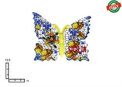 FARFALLA MEDIA CERAMICA CM13.5 TRINACRIA SICILIA